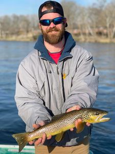 Angler with one fish in Branson