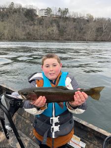 Angler with a large rainbow trout fish caught in Branson