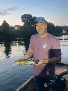 A single sea trout being caught while fishing in Branson