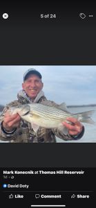 Striped bass caught during fishing in Branson
