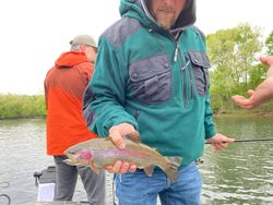 Nice rainbow trout lake Taneycomo 