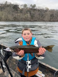 Trophy Rainbow trout for Avery!