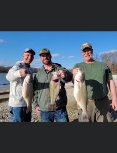 3 fish species including Wiper, Striped Bass, and Largemouth Bass caught in MO