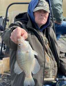 Fishing in MO