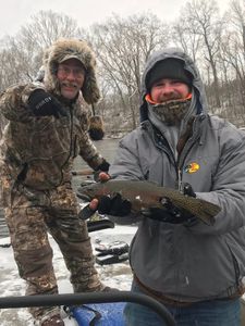 Angler holding a big rainbow trout in MO