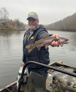 Rainbow Trout, 19-inch fishing catch in Missouri