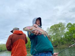 Rainbow trout, 29-inch fish caught while fishing in Branson