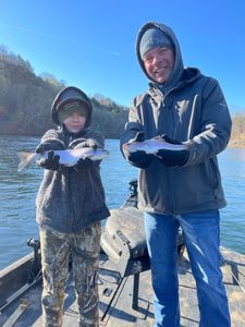 Rainbow trout caught in Branson