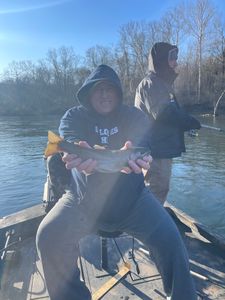 Angler with a large rainbow trout caught in Branson