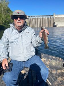 A single rainbow trout caught in MO