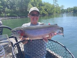 Photograph of a rainbow trout caught in MO