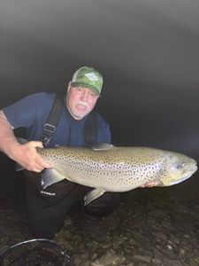 Rainbow trout, 23-inch fish caught while fishing in Branson