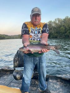 A rainbow trout caught while fishing in Branson