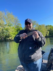 Rainbow trout caught fishing in MO