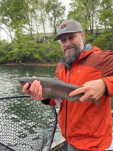 Vibrant Rainbow Trout in Missouri Stream