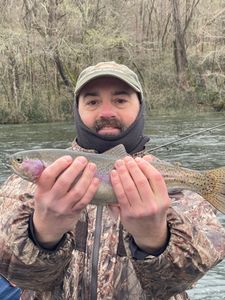 Rainbow Trout caught while fishing in MO
