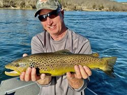 A sea trout fish caught by a person in Branson