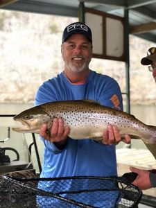 Majestic sea trout caught in Branson during fishing