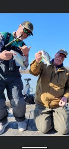 Two fish caught while fishing in MO