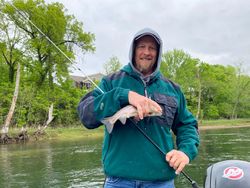 Photograph of a rainbow trout caught in Branson while fishing
