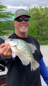 White crappie fish caught by person in Branson