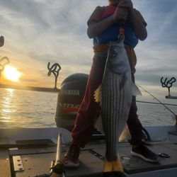 Finest Striped Bass Caught During Sunset