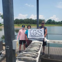 Angler catches a striped bass in OK