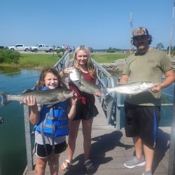 3 striped bass caught in OK