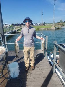 Two striped bass caught in Mead
