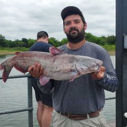 Photograph of a blue catfish caught in Mead, measuring 23 inches