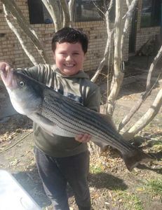Striped bass caught by angler in OK