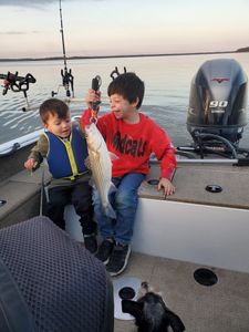 Striped bass caught during fishing in Mead