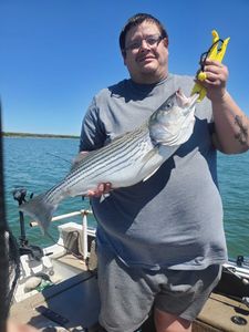 Striped bass caught in OK