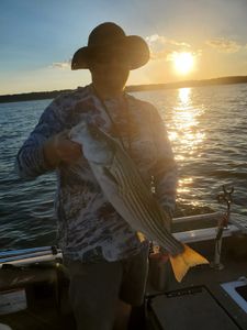 Striped bass fishing in Mead