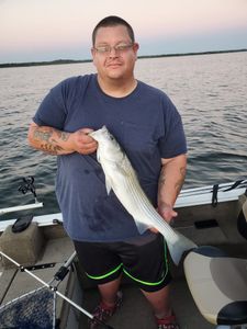 Striped bass fish caught by person in Mead