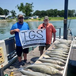 Two striped bass caught in Mead