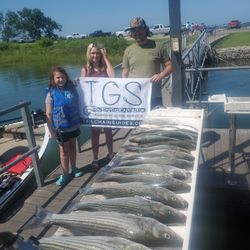Two striped bass caught fishing at Mead