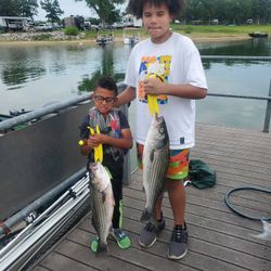 Two striped bass caught during a fishing trip in Mead