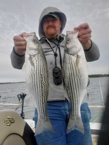 Two striped bass caught during fishing trip in Mead