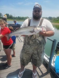 Striped bass caught while fishing at Mead