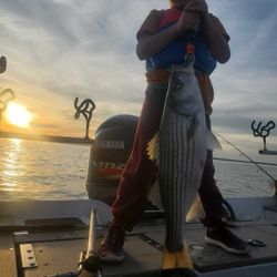 Striped bass fishing in OK