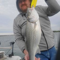 Striped bass caught while fishing in OK