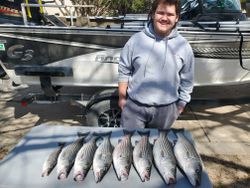 7 striped bass caught during fishing trip in OK