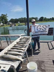 Striped bass fishing in OK