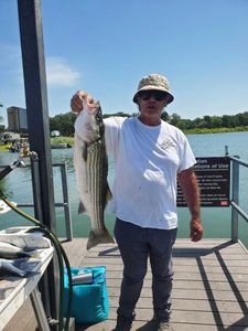 Striped bass caught while fishing in OK