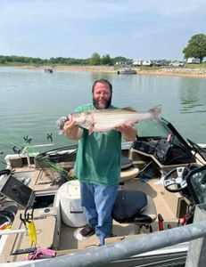 Striped bass caught in Mead