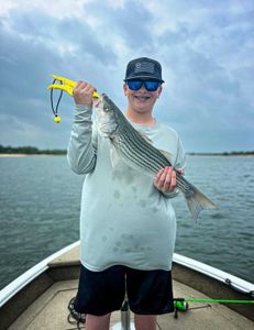 Striped bass caught while fishing in Mead