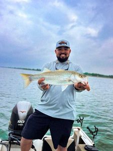 Striped bass caught while fishing in Mead