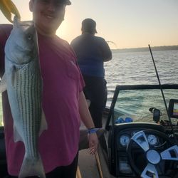 Striped bass caught while fishing in OK