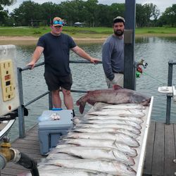 Three blue catfish caught in OK